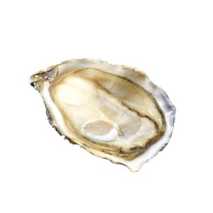 gillardeau special oyster half opened with oyster meat