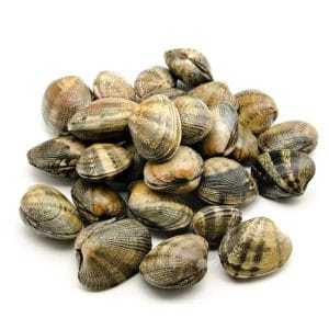 vongole clams