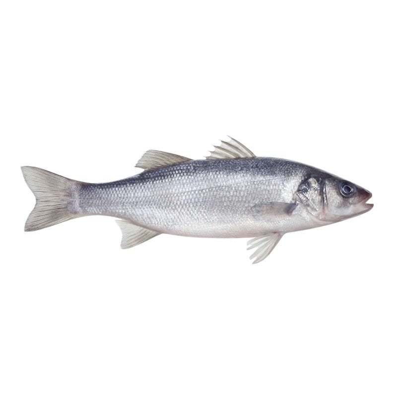 Whole farmed sea bass