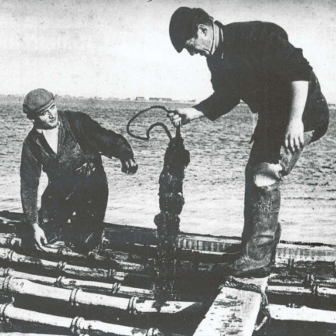 The future of the European fisherman!